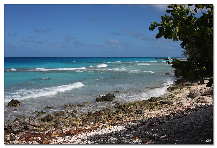 40D11391 cs cadre2.jpg - Rangiroa - plage côté lagon